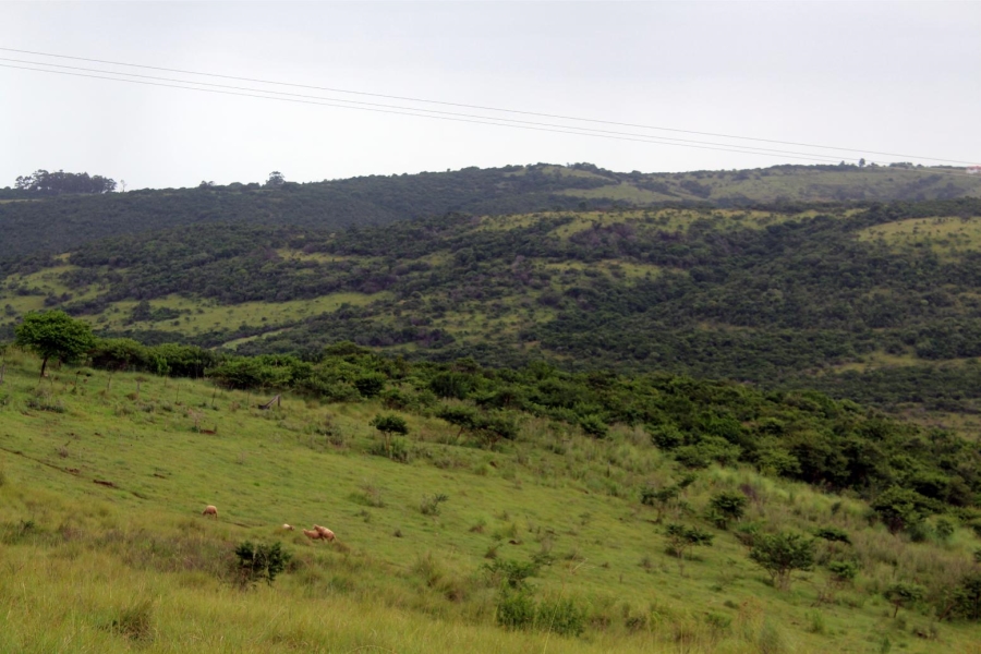 Commercial Property for Sale in East London Rural Eastern Cape